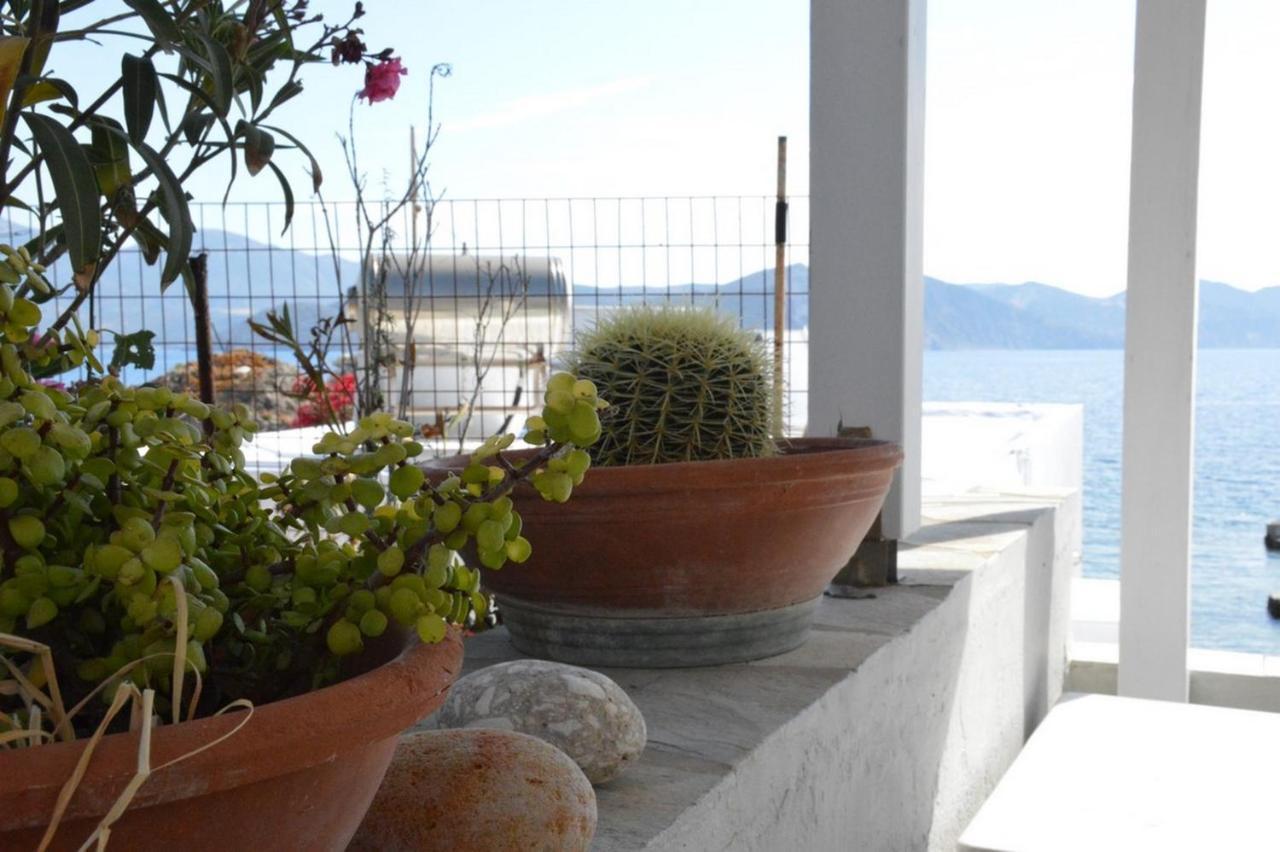 Thalassophile Eco House Villa Plaka  Buitenkant foto